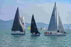 Flag-off-Mp-Lgk_236_6_11zon