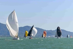 RLIR-2026-Race-Day-5_0208_1_11zon