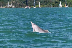 RLIR-2026-Race-Day-5_0492_5_11zon