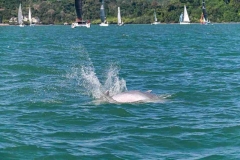 RLIR-2026-Race-Day-5_0493_6_11zon