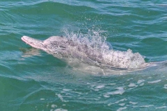 RLIR-2026-Race-Day-5_0519_7_11zon